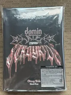 スキズ エコパ円盤 完全生産限定盤 - メルカリ