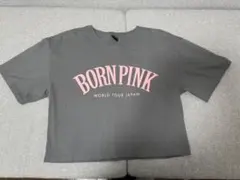 Item thumbnail for item ab046e65-b5d3-47ca-b483-56746a469b80