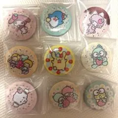 サンリオ 刺繍缶バッジ 9種セット