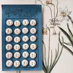 Item thumbnail for item f04e1105-ad11-45ca-89e1-4c0326123b43