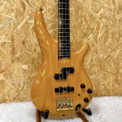 2025年最新】IBANEZ フジゲンの人気アイテム - メルカリ