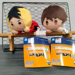 ハイキュー　一番くじ　D賞ちょこのっころんぬいぐるみ　孤爪研磨　及川徹