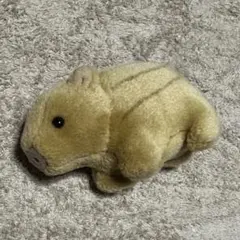 2026年最新】ウォンバットぬいぐるみの人気アイテム - メルカリ