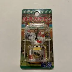 ご当地キティ　ファスナーマスコット　新潟　越後　不老長寿　FM