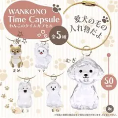 わんこのタイムカプセル キャラクターグッズ