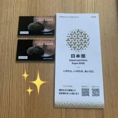 大阪・関西万博 日本館パビリオン　火星の石観覧証明書＆パンフレット