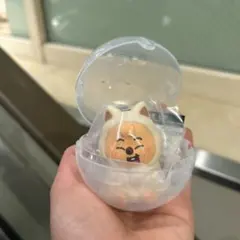 Stray Kids SKZOO ライトマスコット　HAN QUOKKA