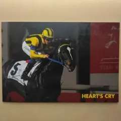 競馬　DVD 有馬記念史　日本ダービー史　1-4巻　全巻セット 競馬 DVD 有馬記念史 日本ダービー史 1-4巻 全巻セット 日本の名馬・名