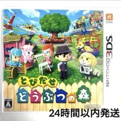 【動作確認済み・ケース付き】とびだせどうぶつの森　3DS