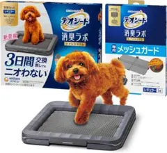 Item thumbnail for item 587c5878-acdd-43bd-bf8b-7e961cc21849