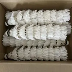 だるま。。。様