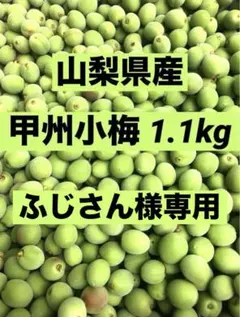 山梨県産 甲州小梅 1.1kg 無農薬 ふじさん様専用ページ
