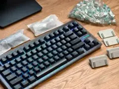 Wooting 80HE PCR Ghost ANSI