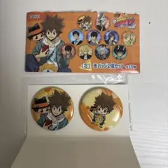 家庭教師ヒットマンREBORN！　ひこくじ　E賞缶バッジ2個セット　沢田綱吉