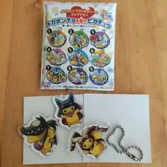 サ*ル様 メガポンチョを着たピカチュウ　7　アクリルキーホルダー　ポケモン