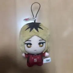ハイキュー!! サンリオ ちみっともぬい 孤爪研磨　ぬいぐるみ　音駒高校