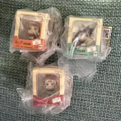 呪術廻戦 るかっぷ ミニチュアコレクション 虎杖悠仁 伏黒恵 宿儺 フィギュア