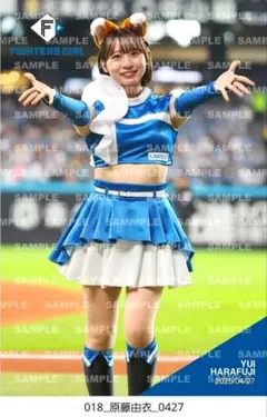 2025年最新】fighters girlの人気アイテム - メルカリ