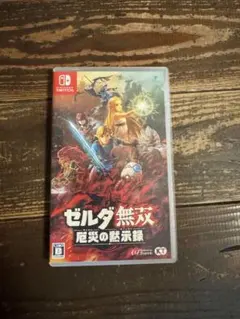 Nintendo Switch ゼルダ無双 厄災の黙示録 ソフト