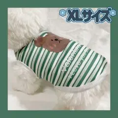 犬服猫服　ペット服　ペットウェア　ドッグウェア　グリーンボーダーXLサイズ