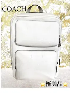 【美品】コーチ ゴッサム バックパック シグネチャー シボ革 グレー 廃盤品 2026年最新】ゴッサム バックパックの人気アイテム - メルカリ