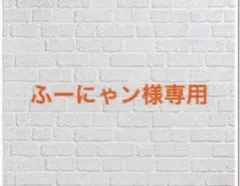 ふーにゃン様専用 無能令嬢の契約結婚 他