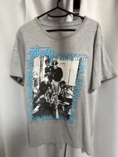 STUSSY x Champion ローラ フォト Tシャツ グレー - メルカリ