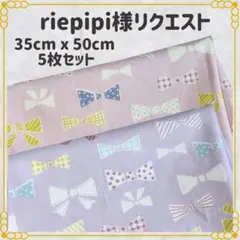 【riepipi様リクエスト】ランチョン 給食ナフキン35×50 ５枚セット