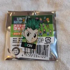 HUNTER × HUNTER アクリルmini フィギュア　　　ゴン