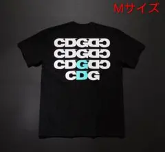 Item thumbnail for item c468c14c-d62c-48dd-8e5a-db0b3857e2a5