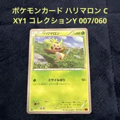 2026年最新】ポケモンカードゲームXY コレクションY BOXの人気アイテム