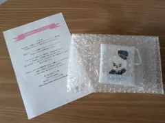 スキズ　StrayKids　推し旅　クリアスクエアケース　リノ　Leebit