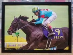 競馬.オグリキャップ.パネル.名馬の肖像 - メルカリ