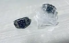 霧のボンゴレリング、六道骸