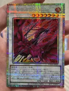 とろろ@購入前にプロフ必読様 リクエスト 3点 まとめ商品