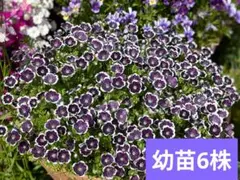 ミイ〜ちゃん様 リクエスト 2点 まとめ商品