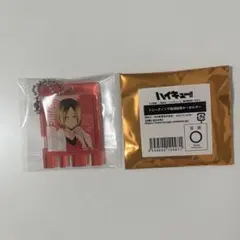 ハイキュー 極楽湯コラボ 銭湯錠風キーホルダー 孤爪研磨