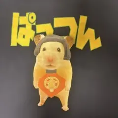 ハムパチーノキンタロキャンディーTシャツ ネイビー Mメンズレディース