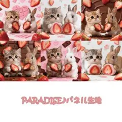 PARADISEパネル生地　 猫柄　うさぎ柄