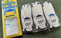 Item thumbnail for item 8086e0c0-22cc-4980-a536-f1e0f70aeacb