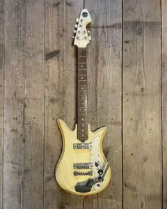 2025年最新】テスコ ギターの人気アイテム - メルカリ