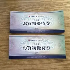 ヤマダ電機　お買物優待券 20枚　1万円分　株主優待券