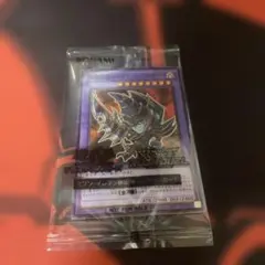 2025年最新】ブラックパラディン ハイチュウの人気アイテム