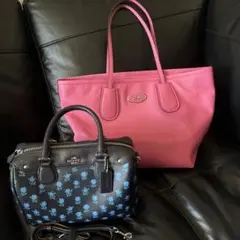 COACH バッグ 2点セット ピンク トート 花柄 ミニボストン - メルカリ