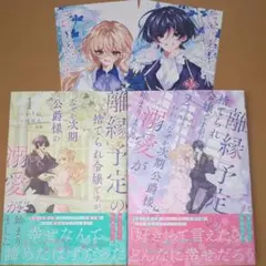 ◎5月新刊◎ꕤ୭*専用出品܀ꕤ୭* - メルカリ
