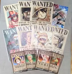 【公式】ONEPIECE 海軍発行公式 手配書 FILMRED ポスター ニカ