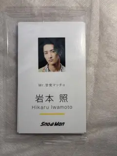 SnowMan 名刺風トレーディングカード