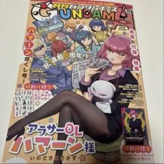 ガンダムエース　1月号　ハマーンカーン　アムロ　レイ　ウイングガンダム