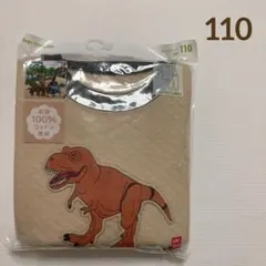 Item thumbnail for item 73b86069-8931-4e2b-b8b3-8e35e8b34671