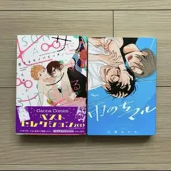 【BLコミック】雨のちマル　恋するサノバビッチ